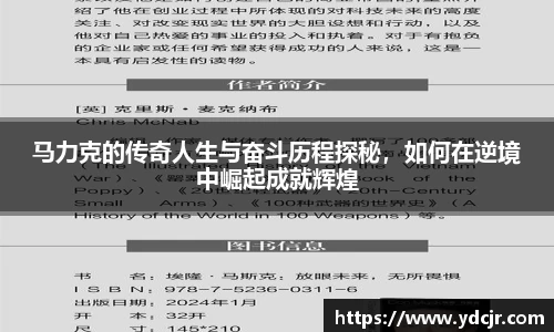 彩神VI首页